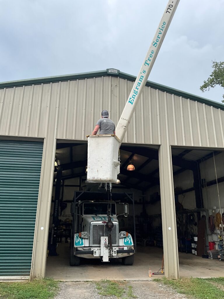 Commercial Electrical Installations
